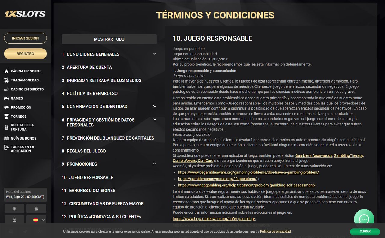 Sección de juego responsable en las reglas de 1xSlots